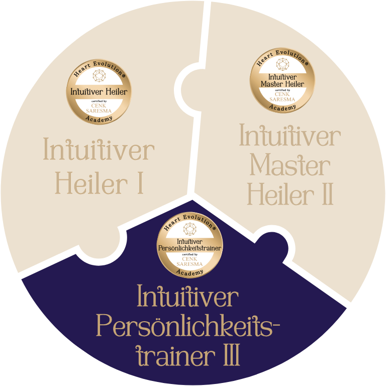 Ausbildungsdiagramm_3_Heart-Evolution_Cenk-Saresma