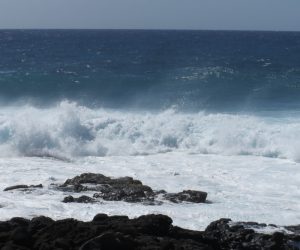 IMG_6182