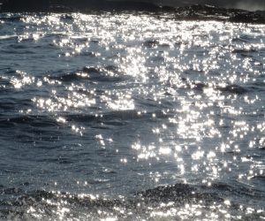 IMG_6262